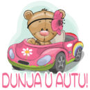 Love Bear on Board