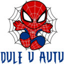Spiderman 2 on board