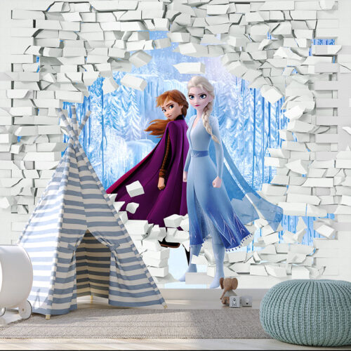 Foto Tapete 3D Frozen 3