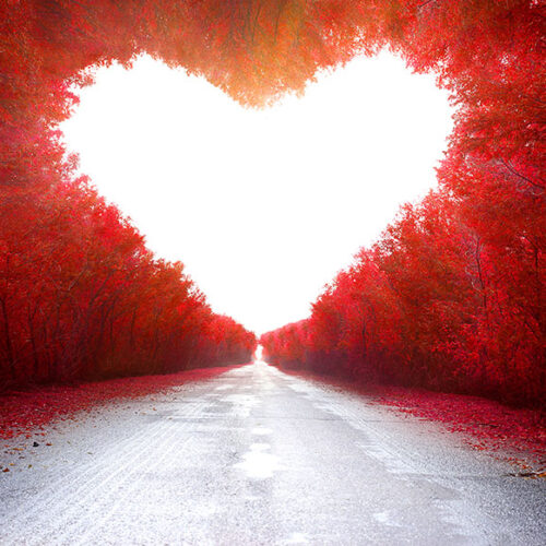 LOVE 4