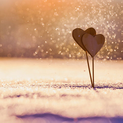LOVE 6