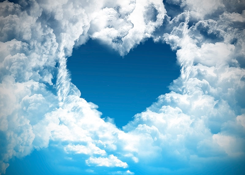 LOVE 7
