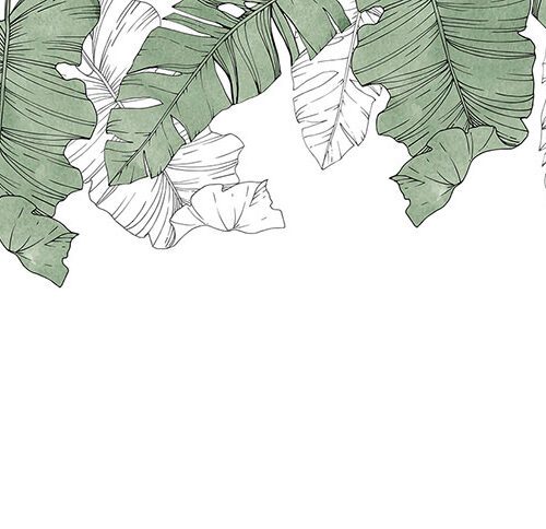 TROPICAL 12