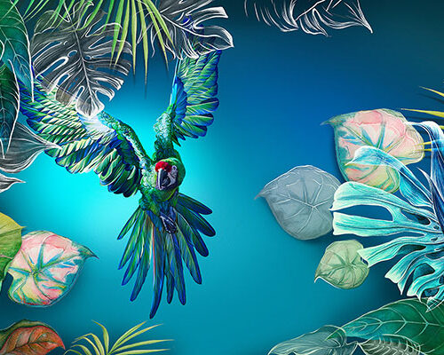 TROPICAL 18