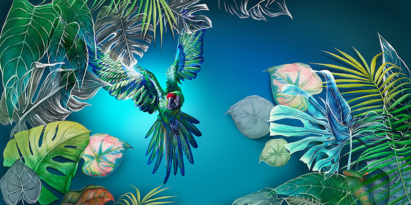 TROPICAL 18