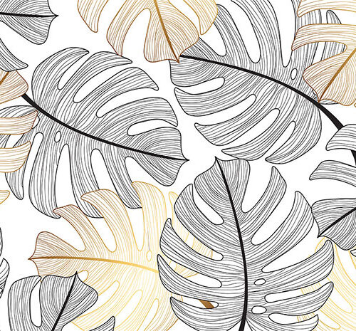 TROPICAL 25
