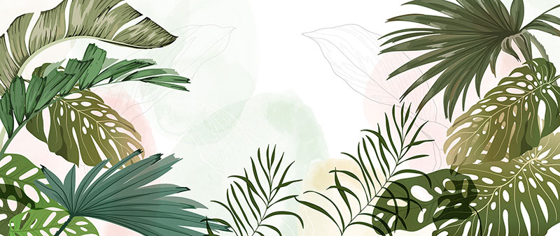 TROPICAL 26