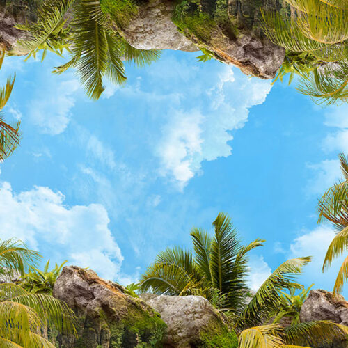 TROPICAL 35