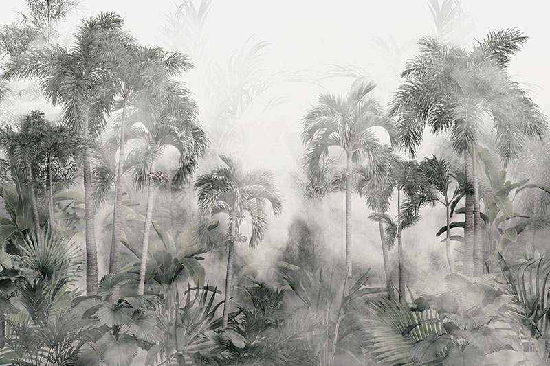 TROPICAL 41