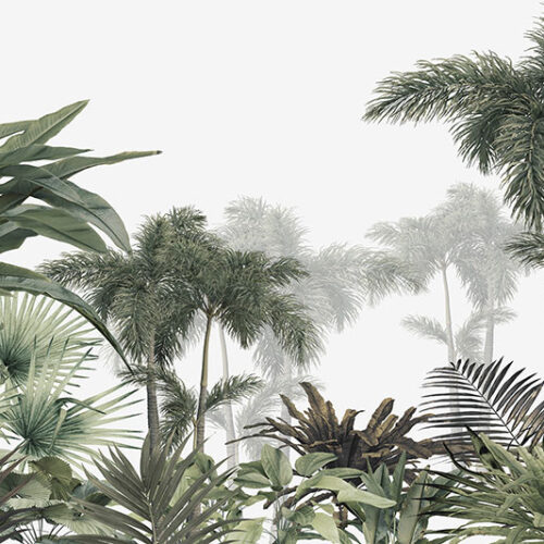 TROPICAL 43