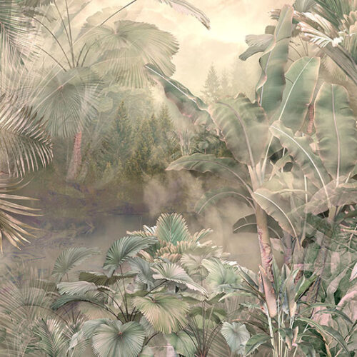 TROPICAL 45