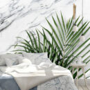TROPICAL 47