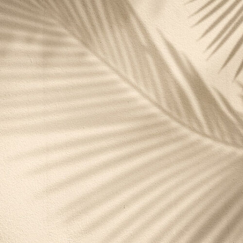 TROPICAL 49