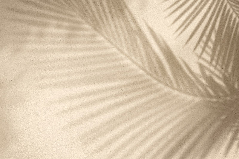 TROPICAL 49