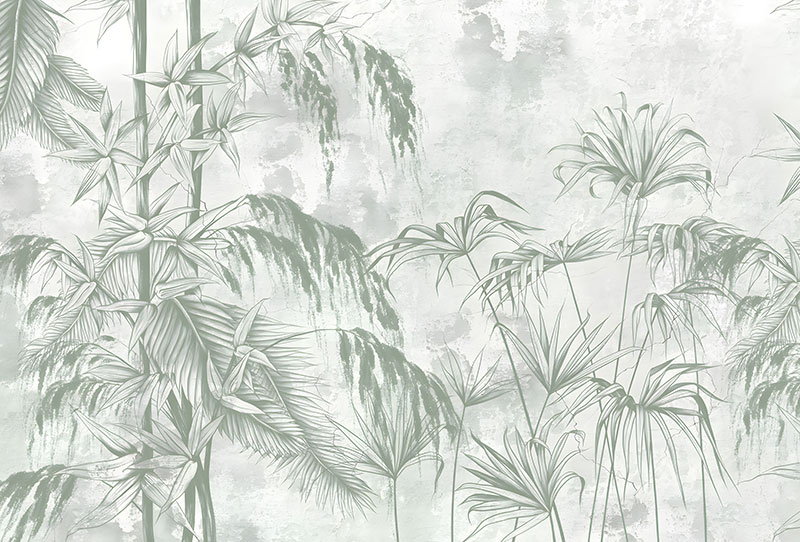 TROPICAL 62