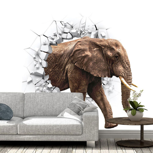 ANIMALS 13