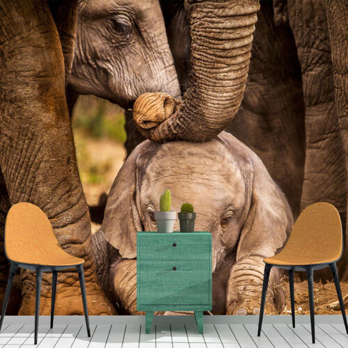 ANIMALS 15