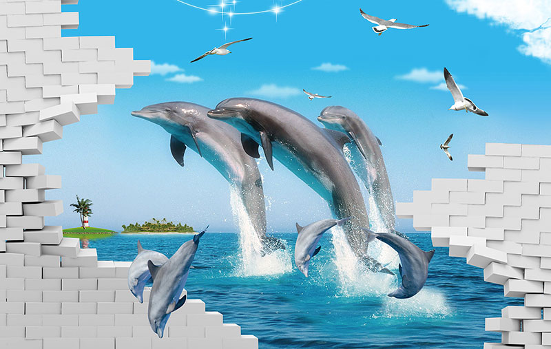 ANIMALS 23