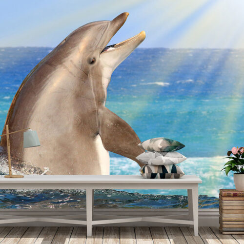 ANIMALS 24