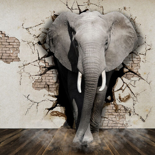 ANIMALS 3