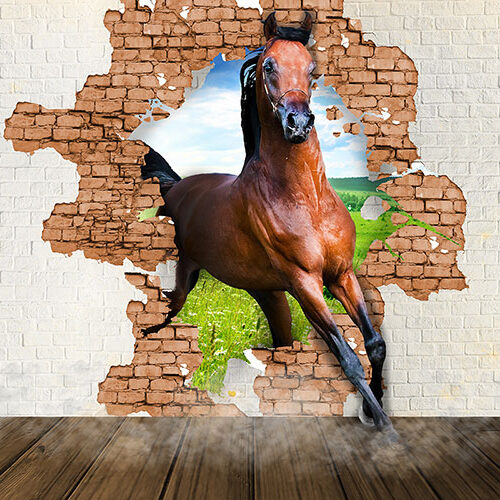 ANIMALS 31