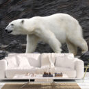 ANIMALS 37