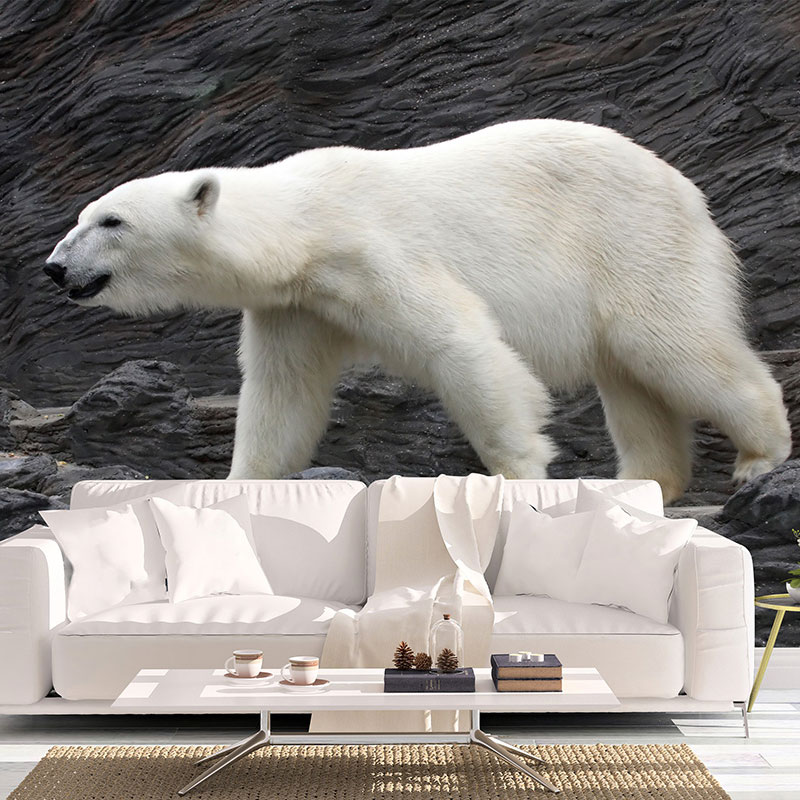 ANIMALS 37
