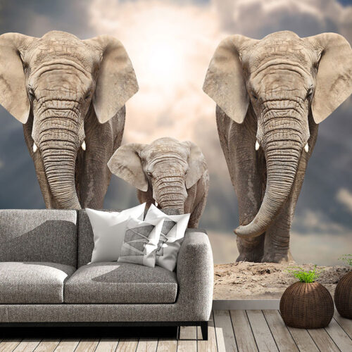 ANIMALS 8